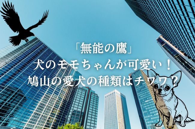 「無能の鷹」犬のモモちゃんが可愛い！鳩山の愛犬の種類はチワワ？