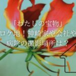 「わたしの宝物」のロケ地！神崎家や会社や病院の撮影場所は？