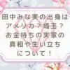 田中みな実の出身はアメリカ？埼玉？お金持ちの実家の真相や生い立ちについて！