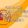 「風のふく島」のスマモビくんの声は誰？釘宮理恵のプロフィールや代表作を紹介！