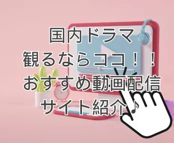 国内ドラマおすすめ動画配信サイト紹介