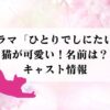 ドラマ「ひとりでしにたい」の猫が可愛い！名前は？キャスト情報