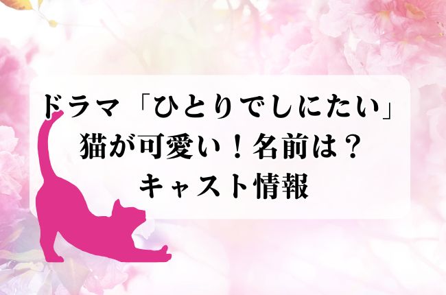 ドラマ「ひとりでしにたい」の猫が可愛い！名前は？キャスト情報
