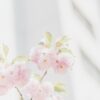 ラウールのスタイル徹底解剖！身長体重は？股下何センチ？パリコレに何歳で出たの？