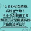 「しあわせな結婚」高校ロケ地！ネルラが勤務する白凰女子大学附属高校の撮影場所は？
