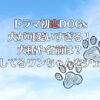 ドラマ初恋DOGsの犬が可愛いすぎる！犬種や名前は？出演してるワンちゃんをチェック