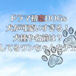 ドラマ初恋DOGsの犬が可愛いすぎる！犬種や名前は？出演してるワンちゃんをチェック
