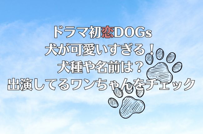 ドラマ初恋DOGsの犬が可愛いすぎる！犬種や名前は？出演してるワンちゃんをチェック