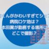 ドラマ「北くんがかわいすぎて3人でシェア」病院ロケ地は？本田翼が勤務する場所はどこで撮影？