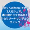 ドラマ「北くんがかわいすぎて3人でシェア」本田翼バッグや小物！アクセサリーやサンダルなどチェック