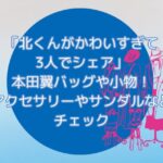ドラマ「北くんがかわいすぎて3人でシェア」本田翼バッグや小物！アクセサリーやサンダルなどチェック