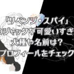 「リベンジ・スパイ」の犬のジャックが可愛いすぎる！犬種や名前は？プロフィールをチェック