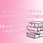 「シンデレラクロゼット」ドラマの見逃し動画配信はどこで見れる？原作漫画や気になるあらすじ、キャスト相関関係をチェック！