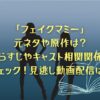 ドラマ「フェイクマミー」は元ネタがあるの？原作あらすじやキャスト相関関係をチェック！見逃し動画配信は？