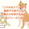 ドラマ「シバのおきて」の柴犬の福助が可愛すぎる！俳優犬の性別や名前などプロフィールに迫る