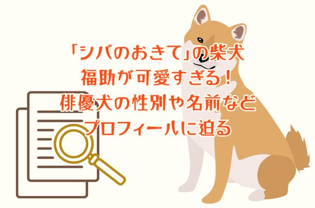 ドラマ「シバのおきて」の柴犬の福助が可愛すぎる！俳優犬の性別や名前などプロフィールに迫る