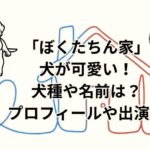 「ぼくたちん家」の犬が可愛い！犬種や名前は？プロフィール出演歴チェック