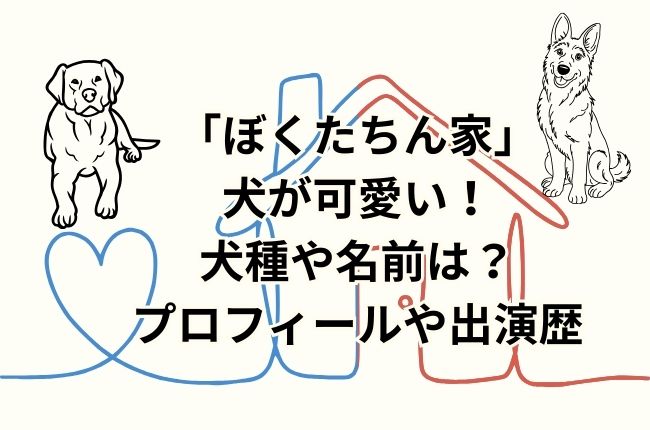 「ぼくたちん家」の犬が可愛い！犬種や名前は？プロフィール出演歴チェック