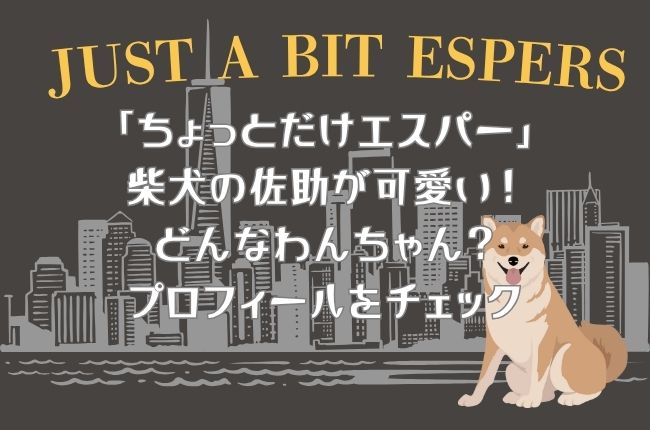 「ちょっとだけエスパー」柴犬の佐助が可愛い！どんなわんちゃん？プロフィールや出演作品をチェック