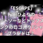 「ESCAPEそれは誘拐のはずだった」の桜田ひよりのカットソーなどトップス！ピンクのロゴ入りTシャツのブランドは？