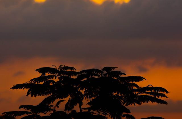 川口春奈はハーフって本当？出身や両親、実家についてを徹底調査