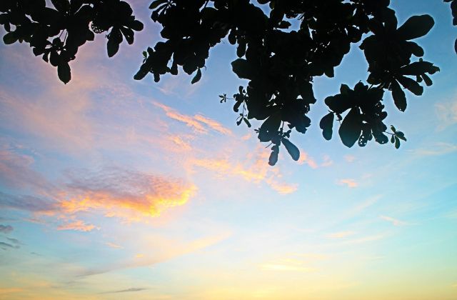 川口春奈はハーフって本当？出身や両親、実家についてを徹底調査