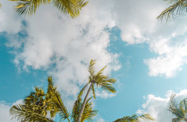 川口春奈はハーフって本当？出身や両親、実家についてを徹底調査