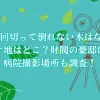 「10回切って倒れない木はない」のロケ地はどこ？財閥の豪邸や病院は？撮影目撃情報やエキストラ情報も調査！