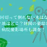 「10回切って倒れない木はない」のロケ地はどこ？財閥の豪邸や病院は？撮影目撃情報やエキストラ情報も調査！
