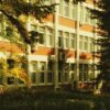 野村康太の出身高校・大学・学歴・偏差値と学生時代エピソードを徹底解説